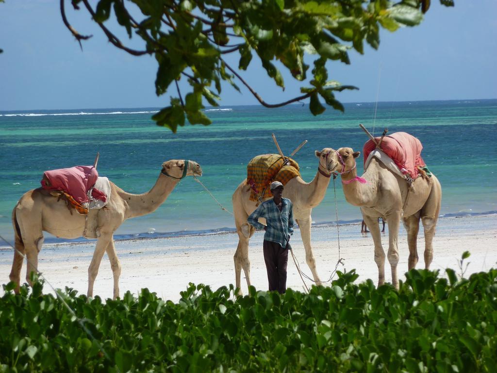 Lantana Galu Beach Diani Beach Esterno foto