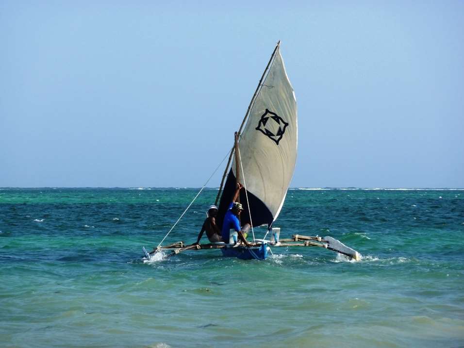 Lantana Galu Beach Diani Beach Natura foto